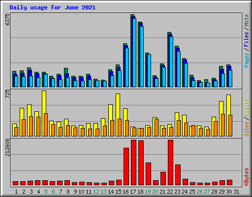 Daily usage for June 2021