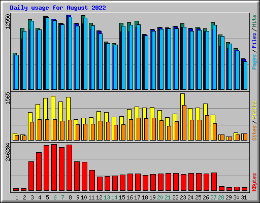 Daily usage for August 2022