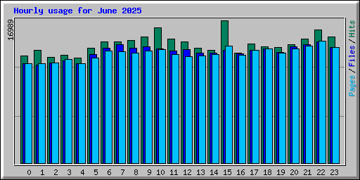 Hourly usage for June 2025