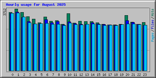 Hourly usage for August 2025