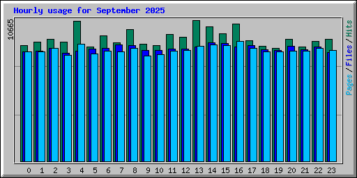 Hourly usage for September 2025