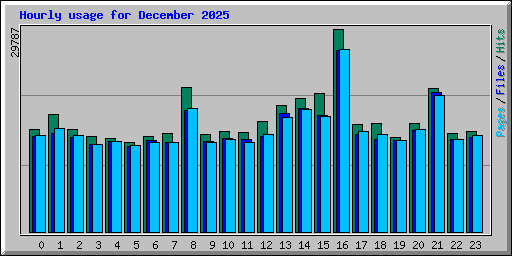 Hourly usage for December 2025