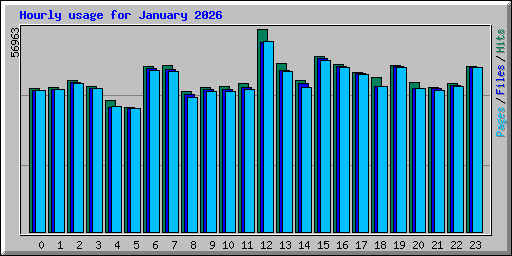 Hourly usage for January 2026