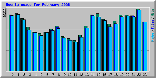 Hourly usage for February 2026